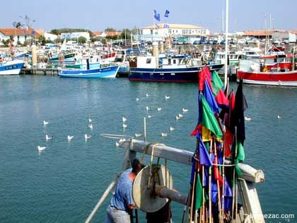Photo de l'île d'Oléron 