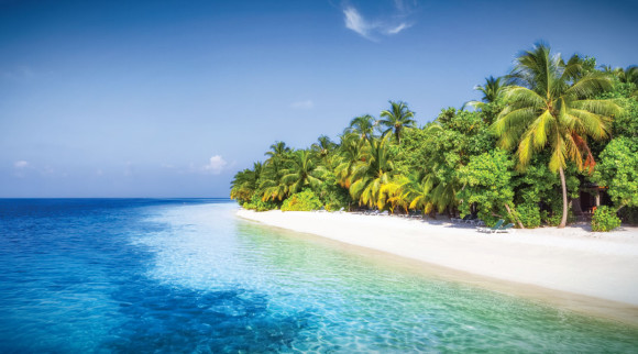 comm305_TropicalParadise_CARRIBEAN