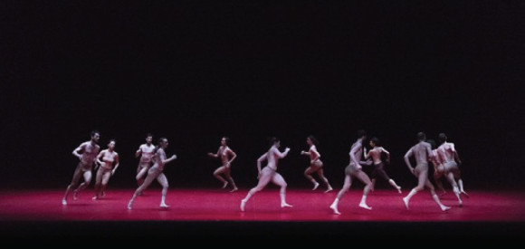 Comm354_Prada_950x450