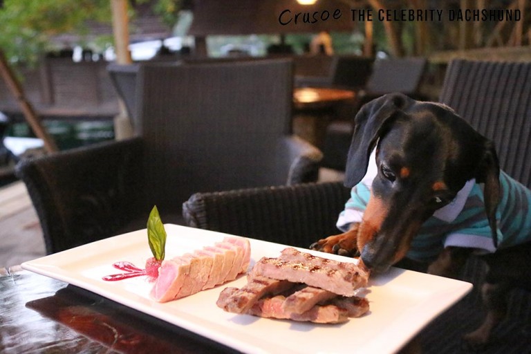 rainforest-hideaway-marigot-bay-768x512