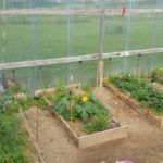 vacances avec chevaux