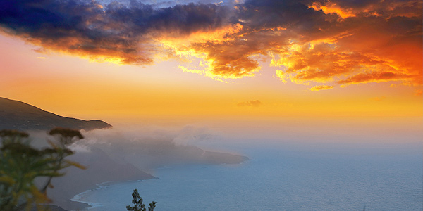 comm609_nightsky_canary