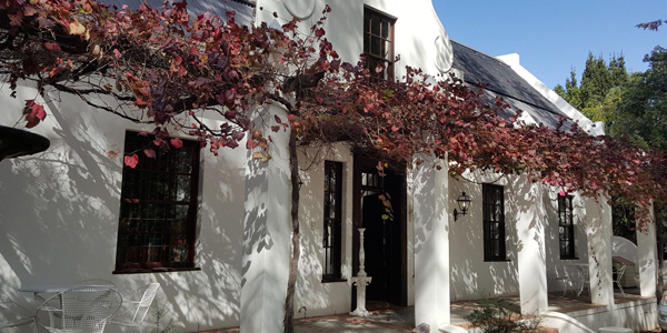 comm653_600x300_should_Pilar1