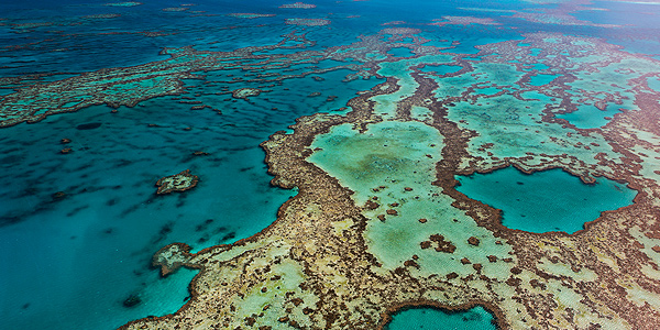 comm685_600x300_tropical_australia1