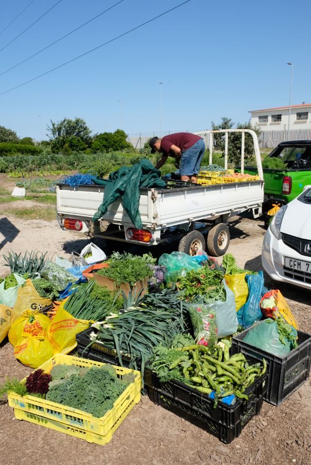 home-exchange-women-3