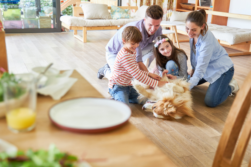 echange-de-maison-solution-ideale-garde-animaux-vacances