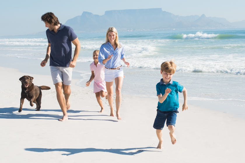 pet-sitter-garde-animaux-vacances