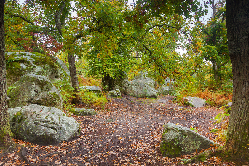 week end famille proche Paris partir a Fontainebleau