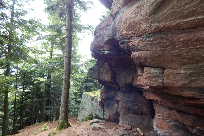 Randonnées Vosges sentier Roches de Corbeau