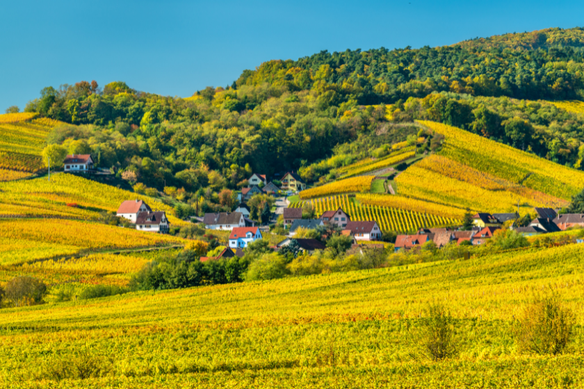 Vacances campagne haut rhin