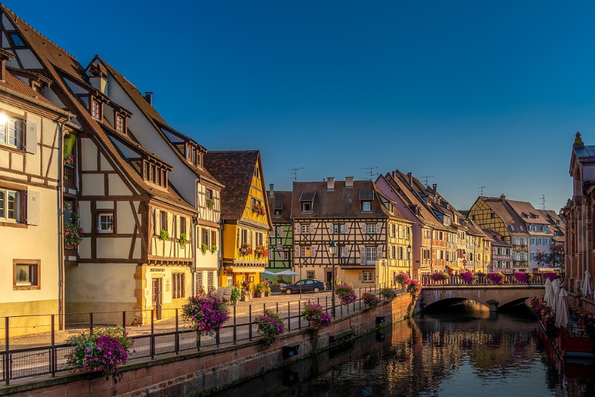 échange de maisons avec un chat