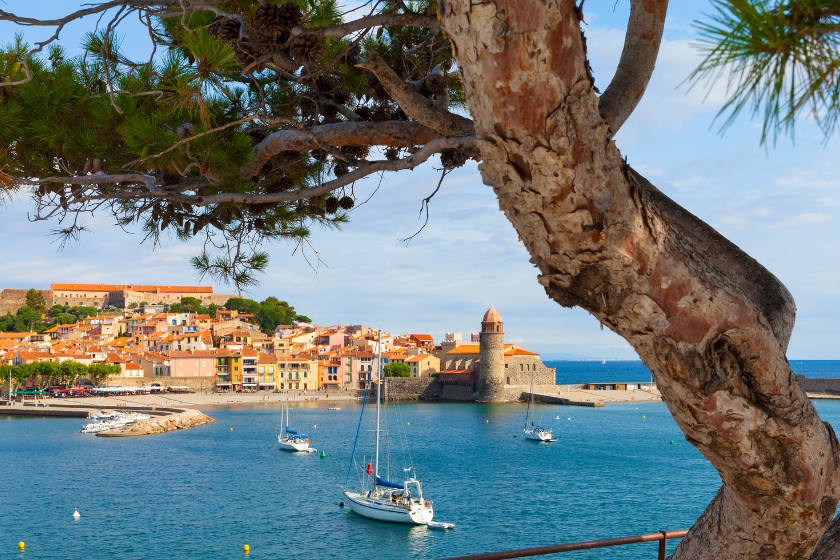Où aller dans les Pyrénées en été Collioure