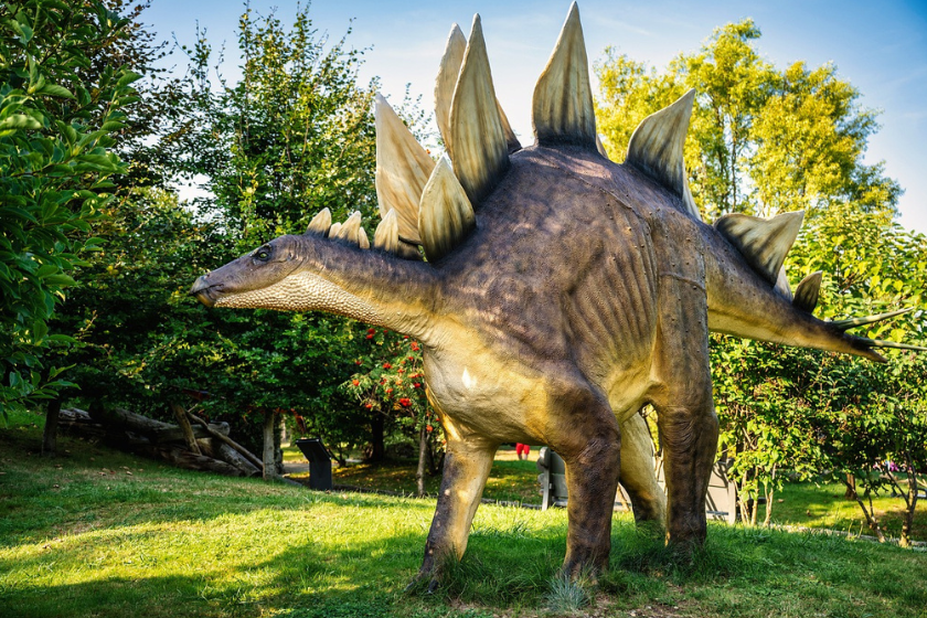 activité insolite en famille