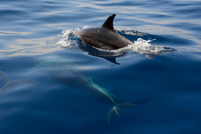 séjour insolite en bretagne