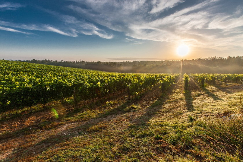 balade autour de bordeaux