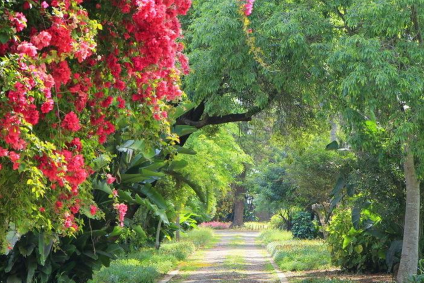 Que faire à Rabat les jardins de Rabat
