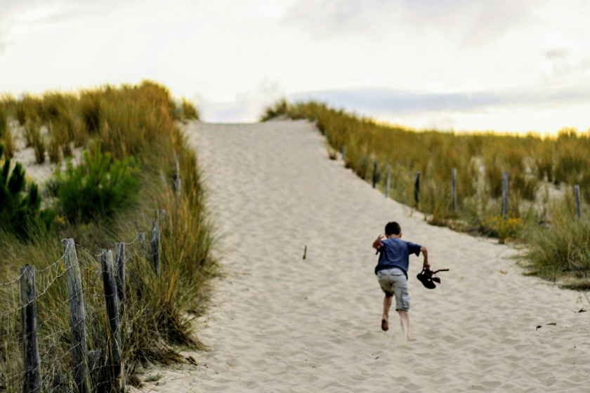 date vacances scolaires France