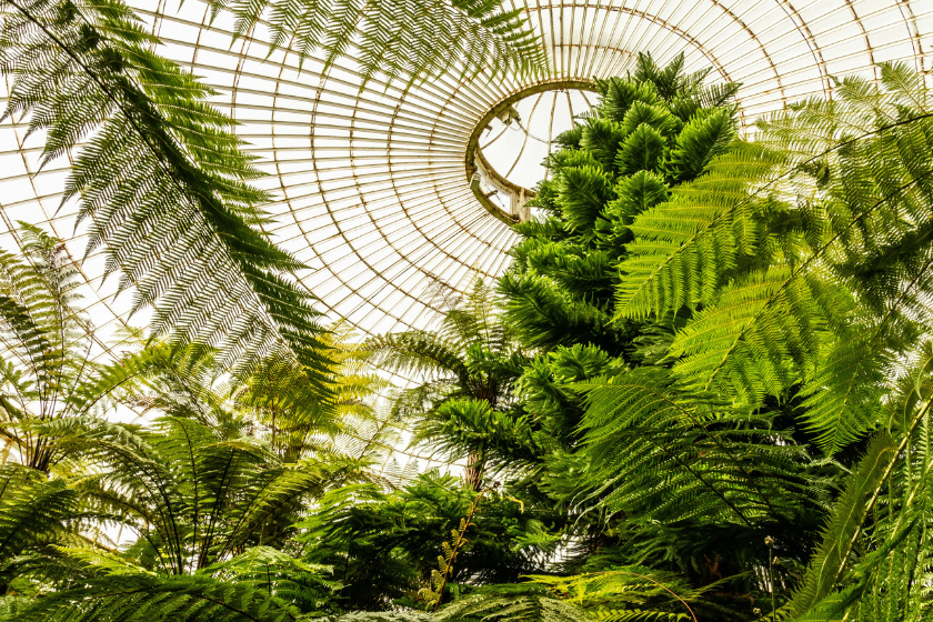 incontournables à glasgow