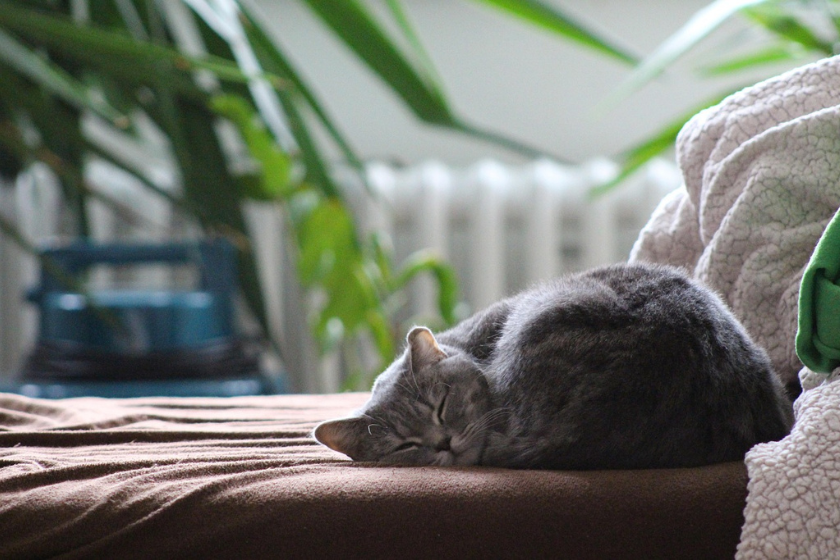 échange de maisons et partage objets