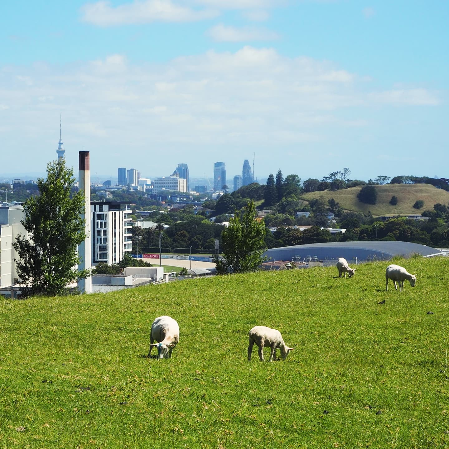 nouvelle zélande en famille