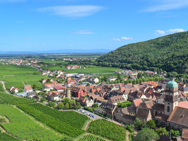 Route des vins en Alsace