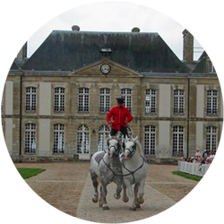 Visiter le haras du Pin en Normandie
