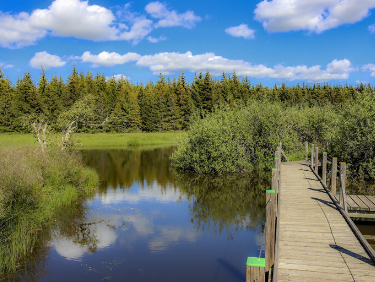 visiter le Lac du Bouchet en Auvergne