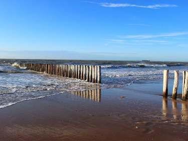  Visite des plages de nouvelle zélande