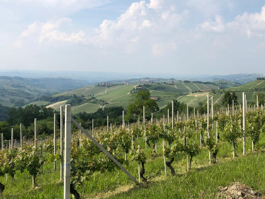 partir en randonnée témoignage de membre - échange de maison - Piemond